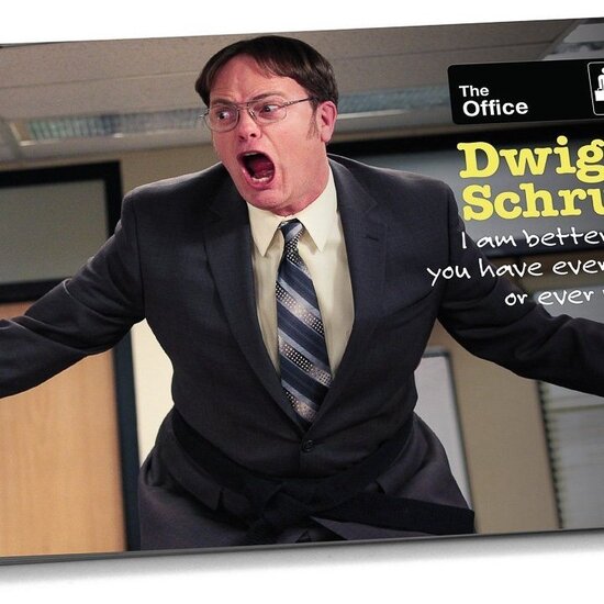 dwight schrute quotes book